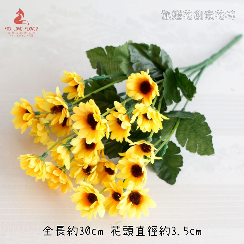 22頭黃色小雛菊