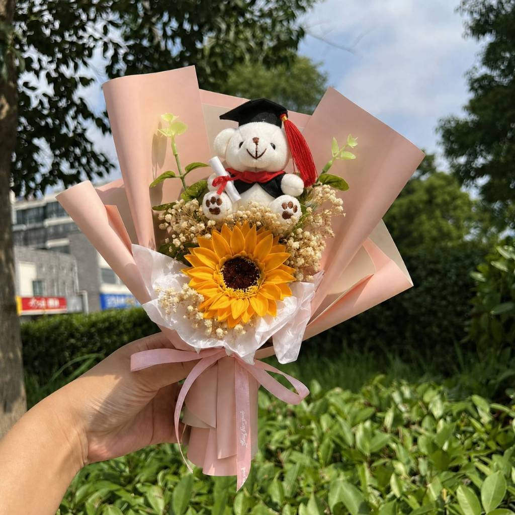 30cm坐姿畢業熊＋向＋滿天星（粉色）,純花束（無提袋／無燈串）
