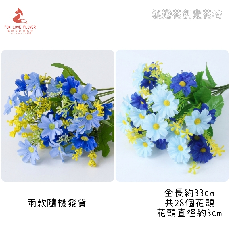 28頭小雛菊(雙色藍)
