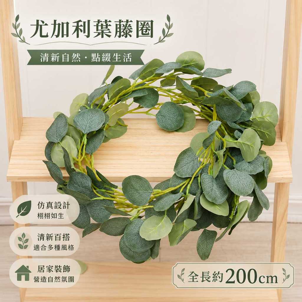 台灣現貨【仿真尤加利藤蔓】180~200cm仿真尤加利藤蔓, 尤加利花藤, 180cm藤蔓, 200cm藤蔓, 圓葉尤加