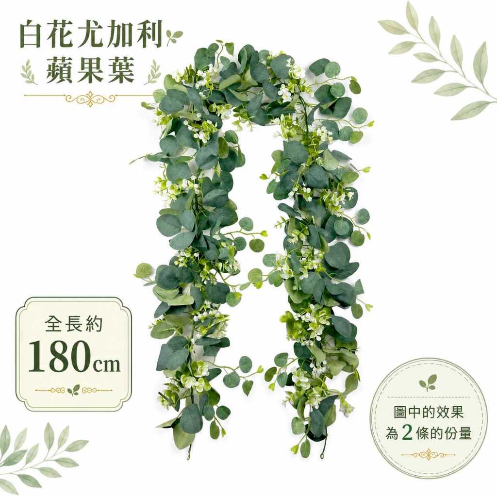 台灣現貨【仿真尤加利藤蔓】180~200cm仿真尤加利藤蔓, 尤加利花藤, 180cm藤蔓, 200cm藤蔓, 圓葉尤加