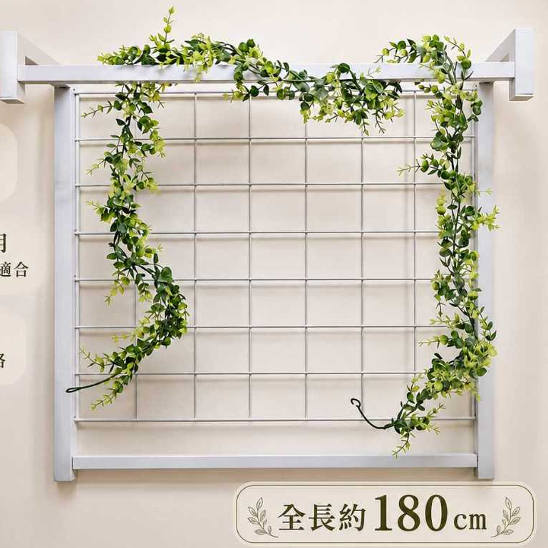 180cm掛霜尖葉小尤加利藤蔓(無花)