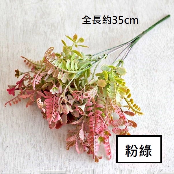 7叉配草(粉綠)