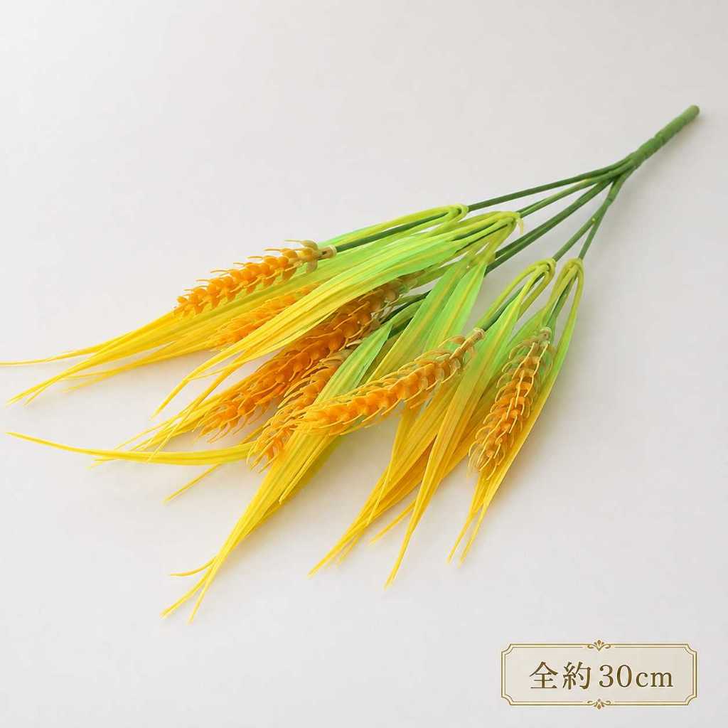 7叉麥穗