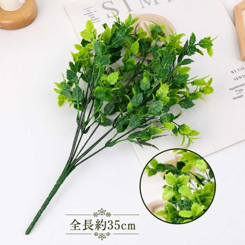 7叉小葉薄荷