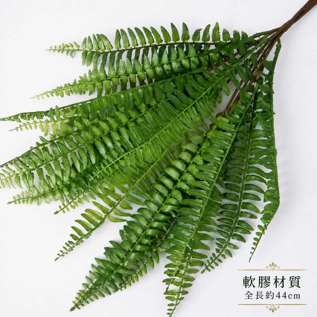 44cm15叉軟膠腎蕨草