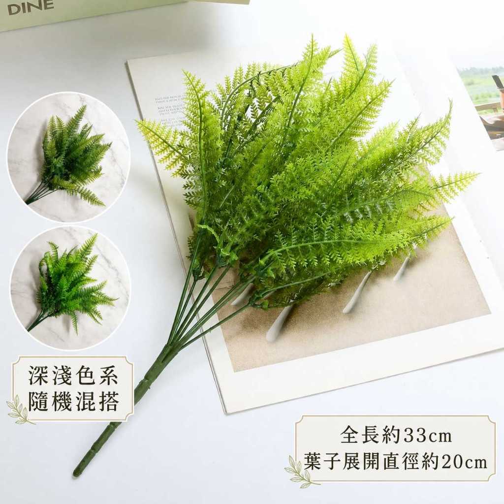7叉小蕨草(隨機混搭)(2枝)