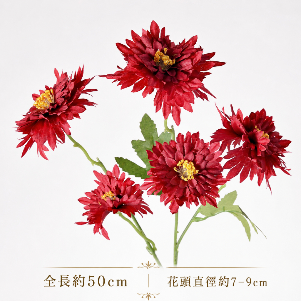 (50cm)5頭火焰菊紅色