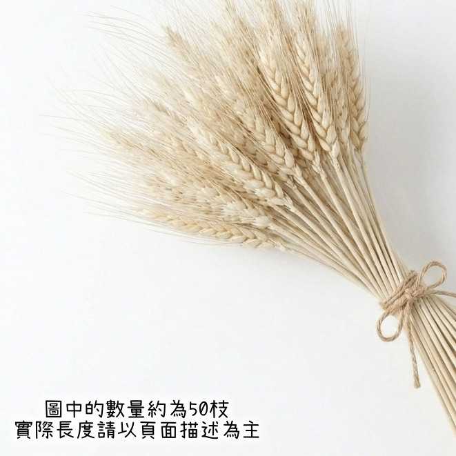 40cm(米白色)漂白麥穗(1支)