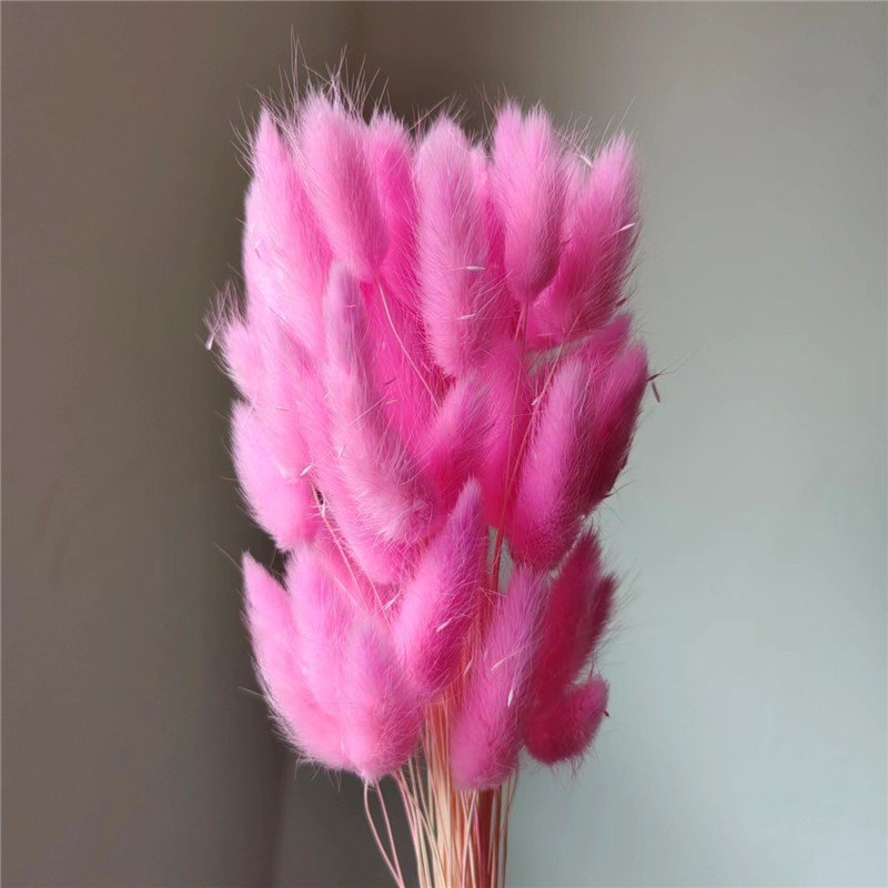 玫粉,1 支