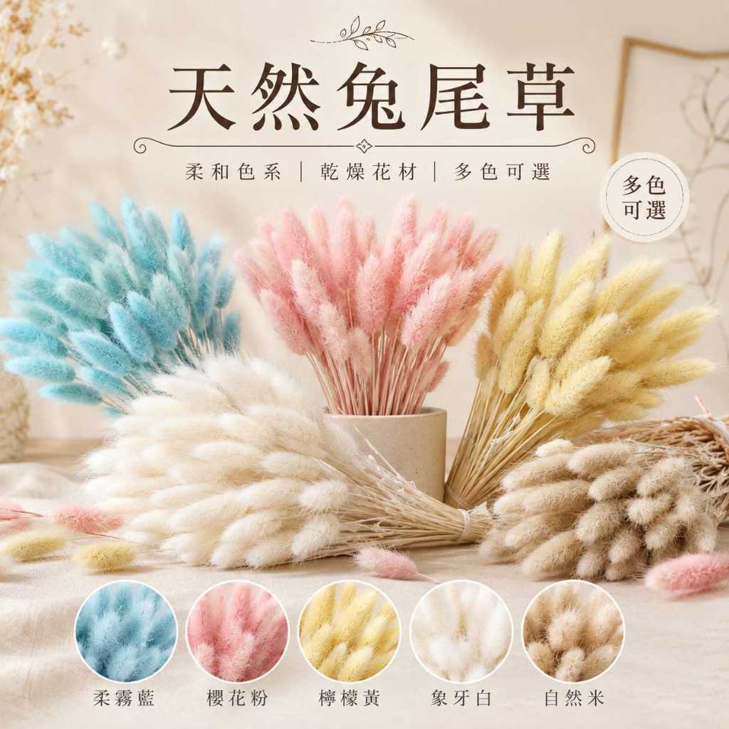 台灣現貨【天然兔尾草】乾燥花束素材,兔尾草,狗尾草,狐狸尾草,乾燥花材,花瓶插花,居家擺飾,桌面佈置,拍照道具,花藝材料