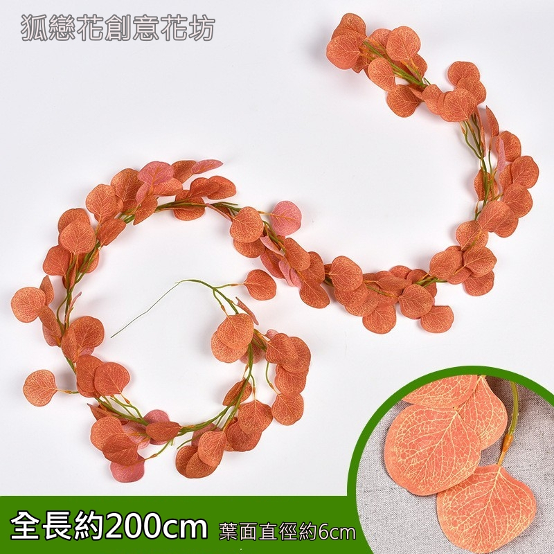 200cm圓葉尤加利❰橘黃❱