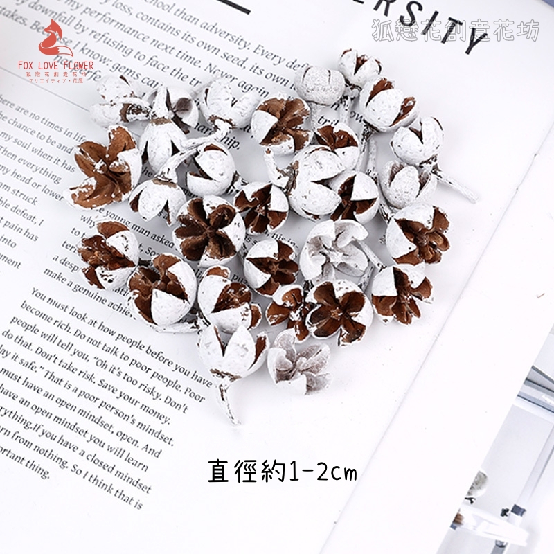 ❰雪色❱小十字果(5個)