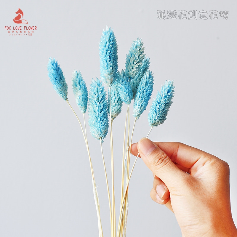 天藍色,價錢為1枝的價格