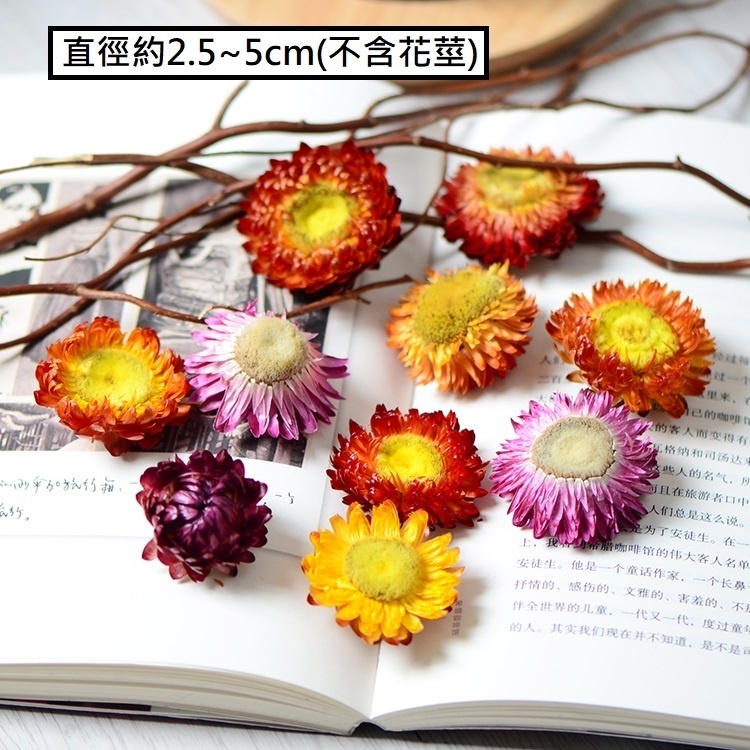 台灣現貨【乾燥花花頭素材】木玫瑰麥桿菊千日紅棉花刺芹草莓果 花圈藤圈手作包裝點綴 花藝材料 DIY 聖誕佈置