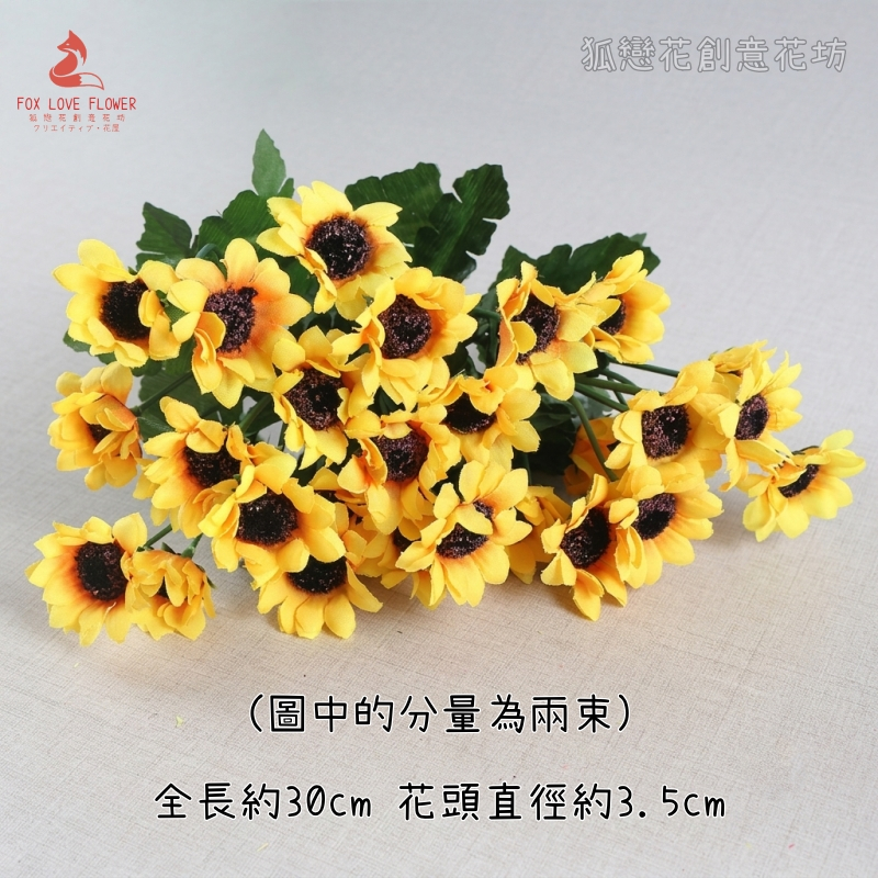15頭黃色小雛菊