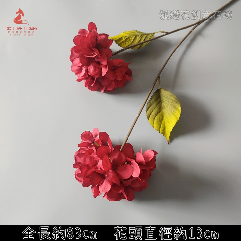 2頭大葉繡球❰紅❱