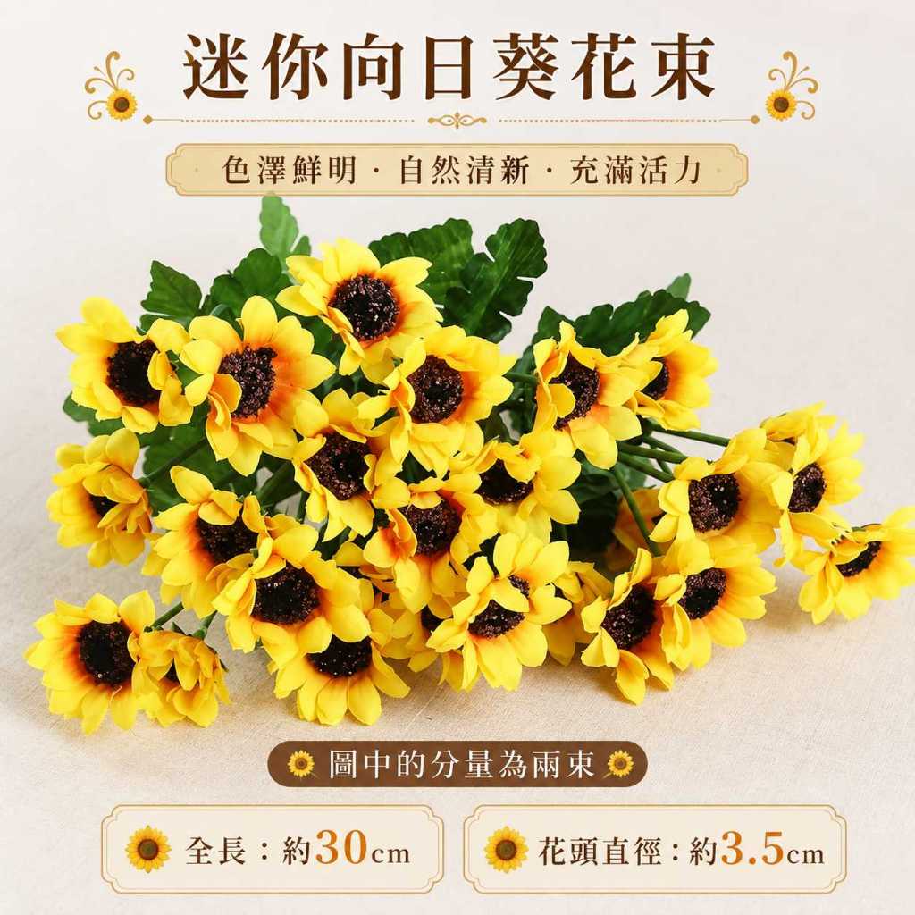 15頭黃色小雛菊