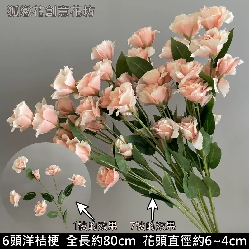 6頭洋桔梗❰粉❱