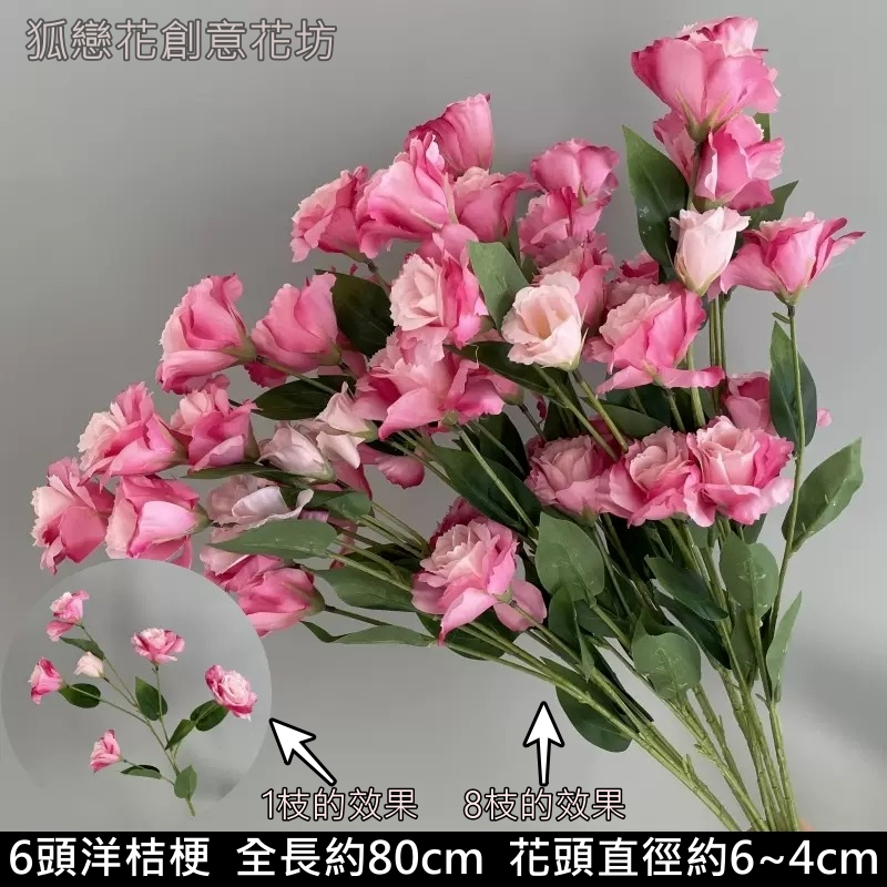 6頭洋桔梗❰漸層玫紅❱