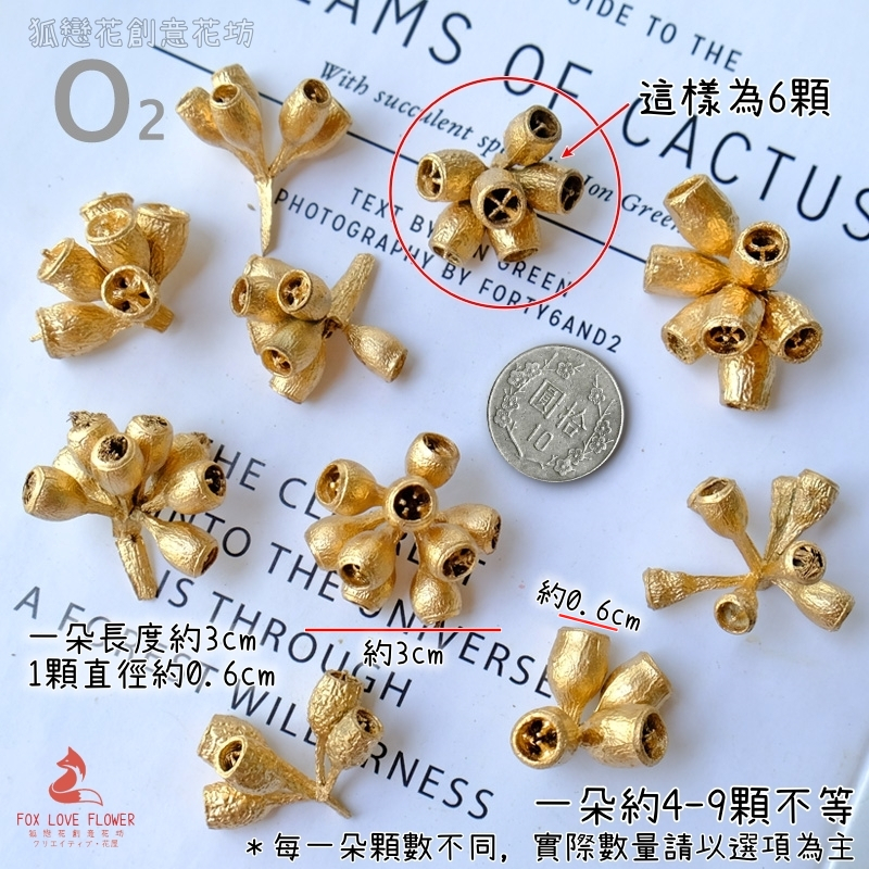 ❰金色❱帶枝鈴鐺果(1份20顆)
