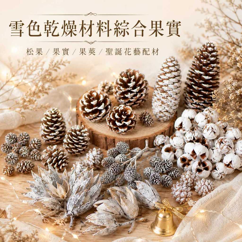 台灣現貨【雪色乾燥材料綜合果實】雪色乾燥材料, 刷白果實, 雪色松果, 馬尾松果, 落葉松果, 雲杉松果, 尤加利果