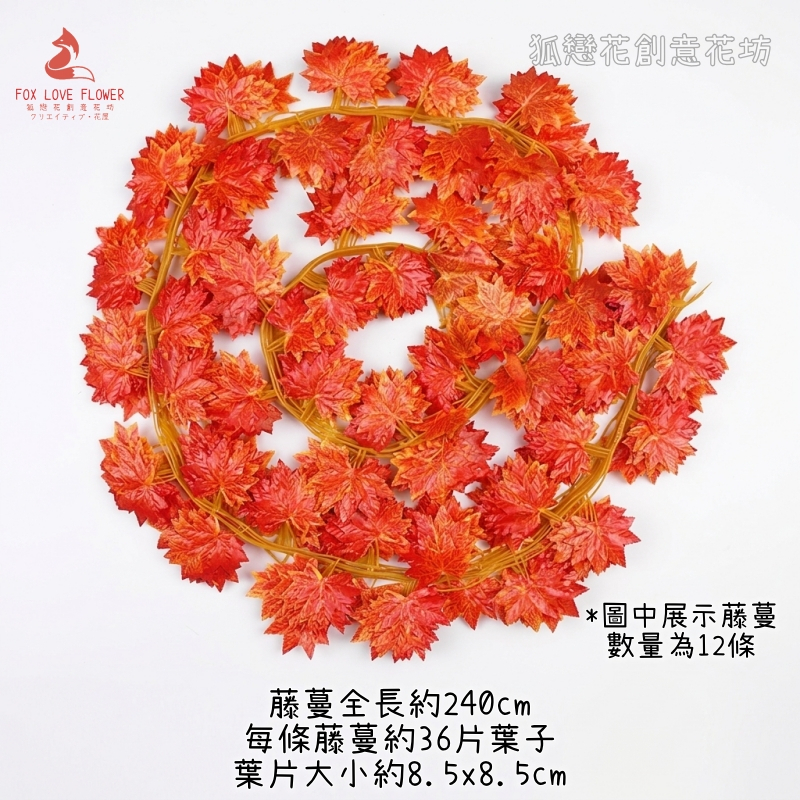 240cm紅楓葉藤條(12條)