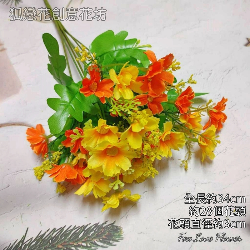 小雛菊（橘/黃）