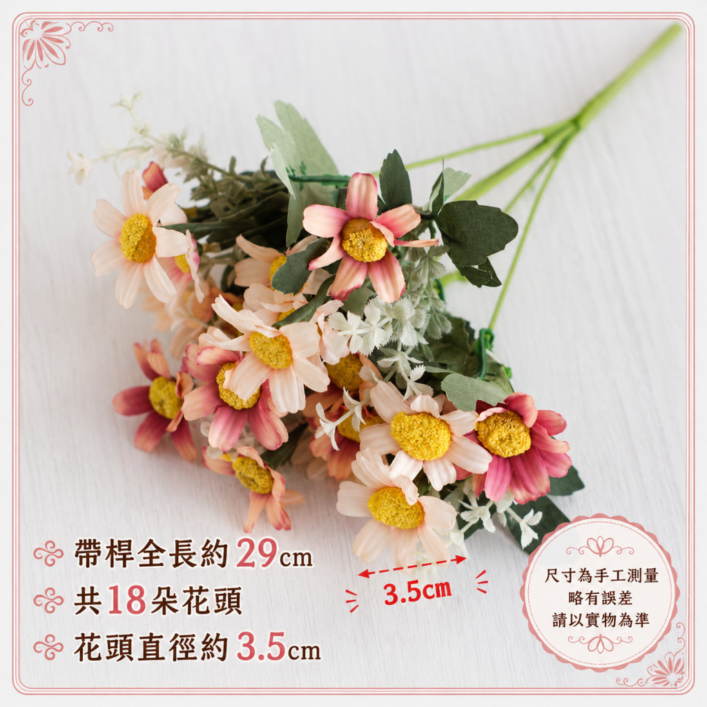 18頭小雛菊（油畫雙色粉）