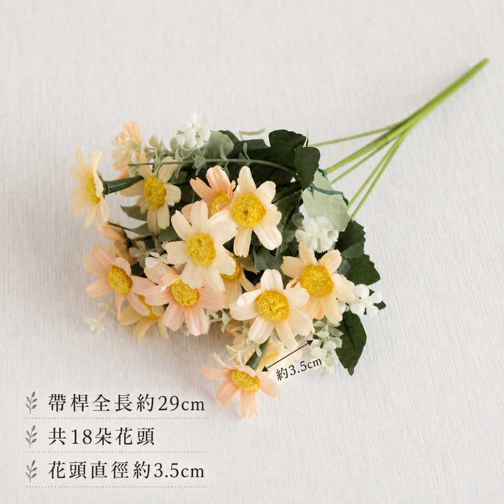 18頭小雛菊（油畫香檳）