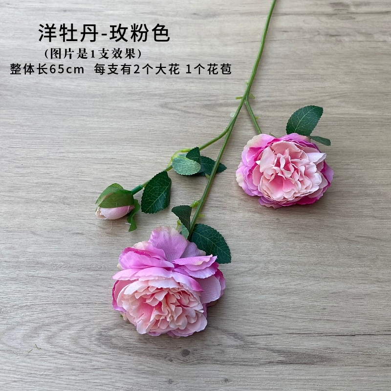 3頭洋牡丹❰玫粉❱