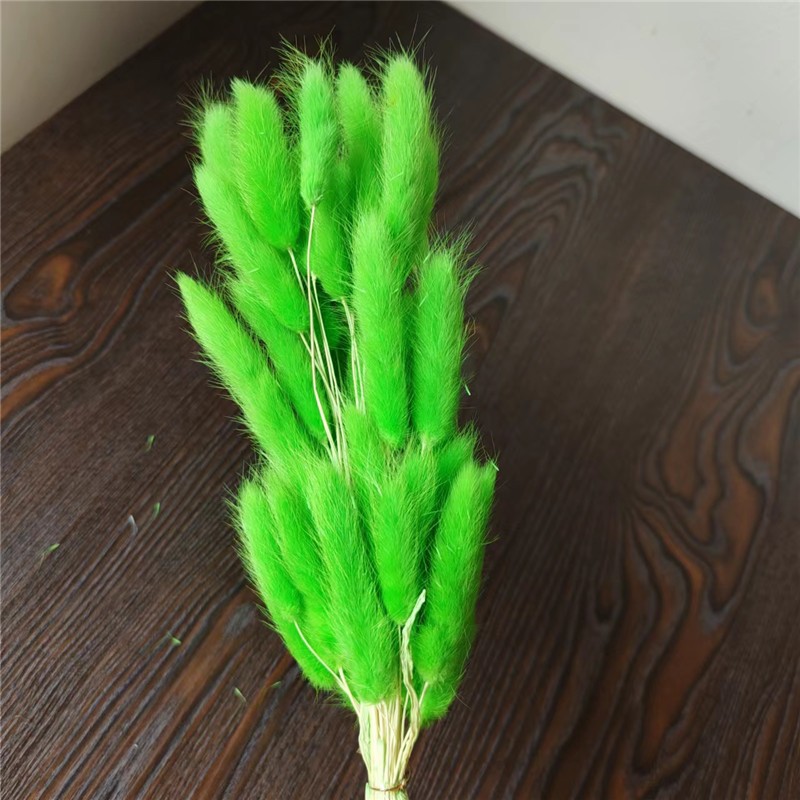 螢光綠,1 支