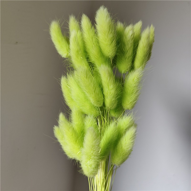 淺綠,1 支