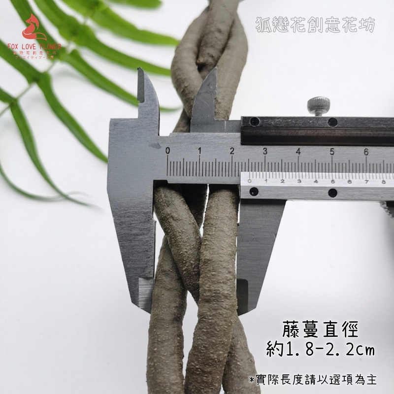 無葉B款三股編織直徑1.8cm(長1公尺