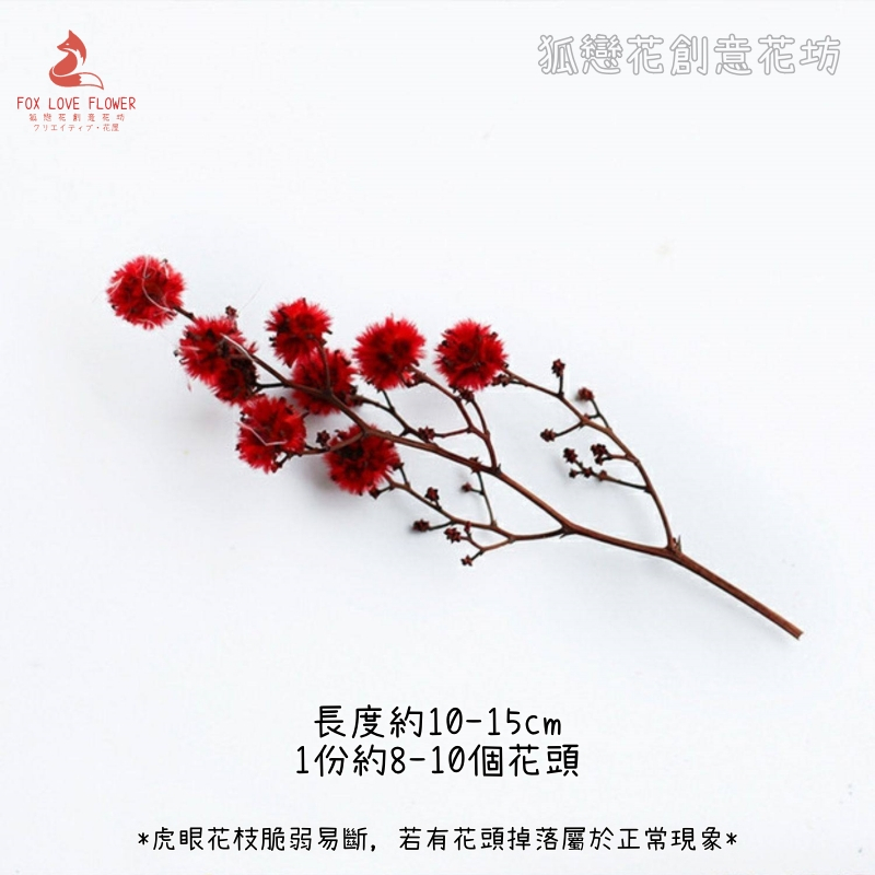 ❰紅色❱虎眼枝(1份約8-10顆花頭),🦊~賣場商品眾多，歡迎參觀選購~🦊