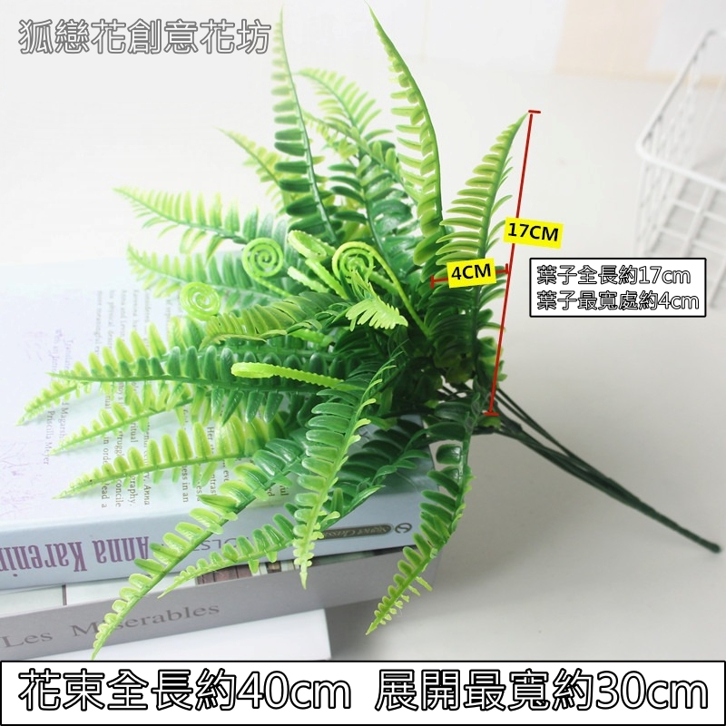 7叉海馬小腎蕨