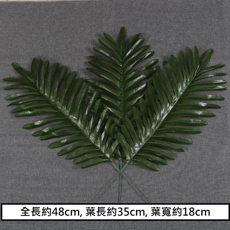 台灣現貨【各款仿真植物葉材】仿真植物葉材, 仿真葉材, 龜背葉, 黃金葛, 尤加利葉, 仿真蕨草, 波士頓蕨, 小竹葉