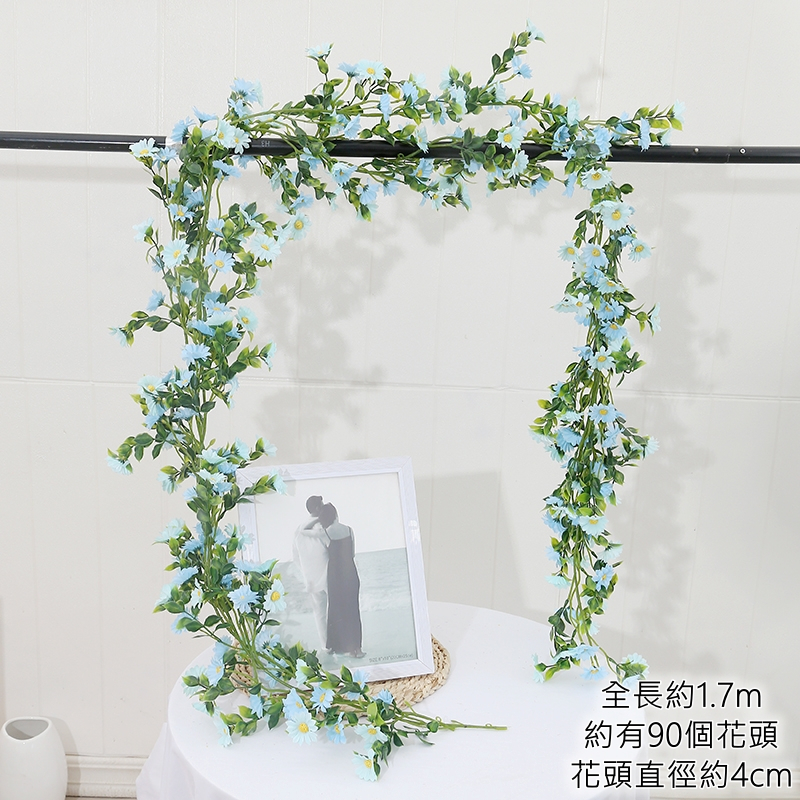 小雛菊藤蔓❰藍❱