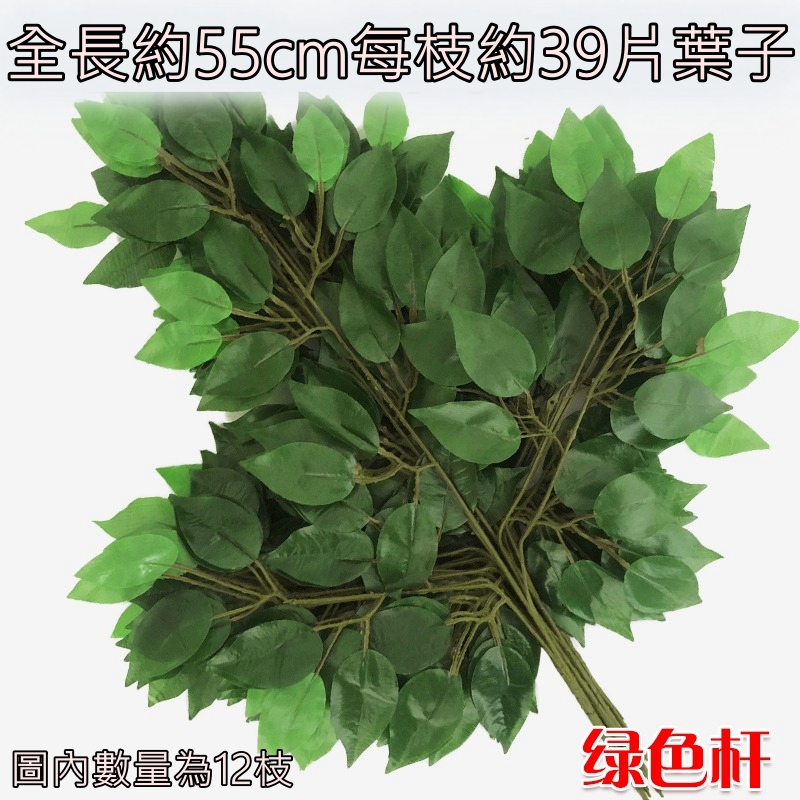 (綠桿)榕樹葉(買10送2)