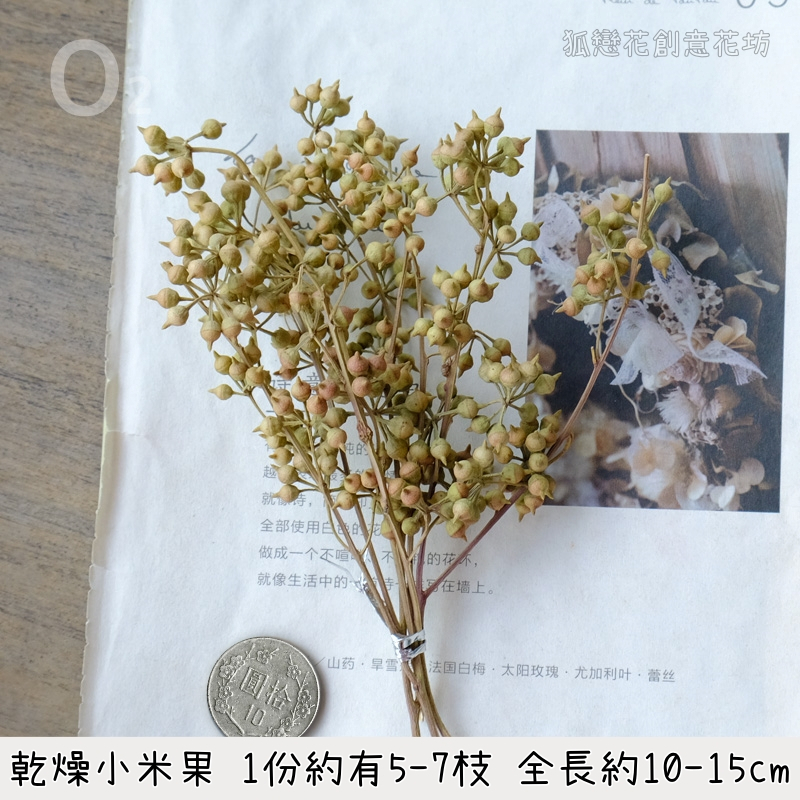 ❰原色❱小米果(細葉桉果)1份