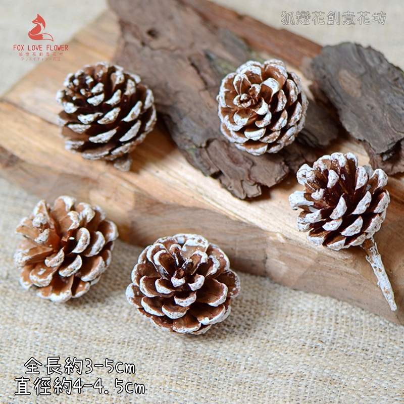 ❰雪色❱小馬尾松果(3顆)