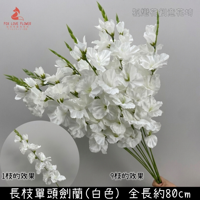 白色長枝單頭劍蘭
