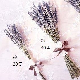 薰衣草20枝,🦊~賣場商品眾多，歡迎參觀選購~🦊