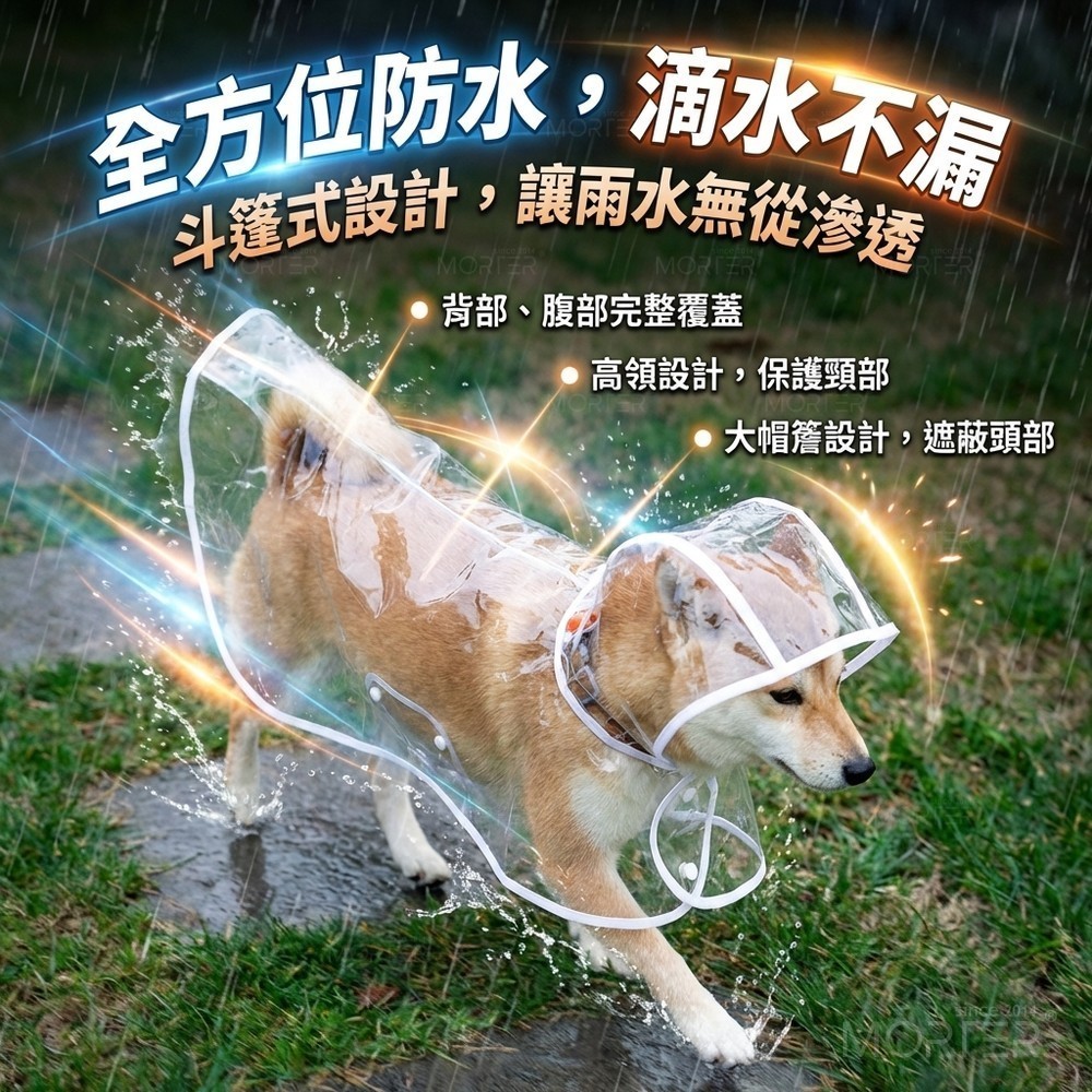 縮圖 6