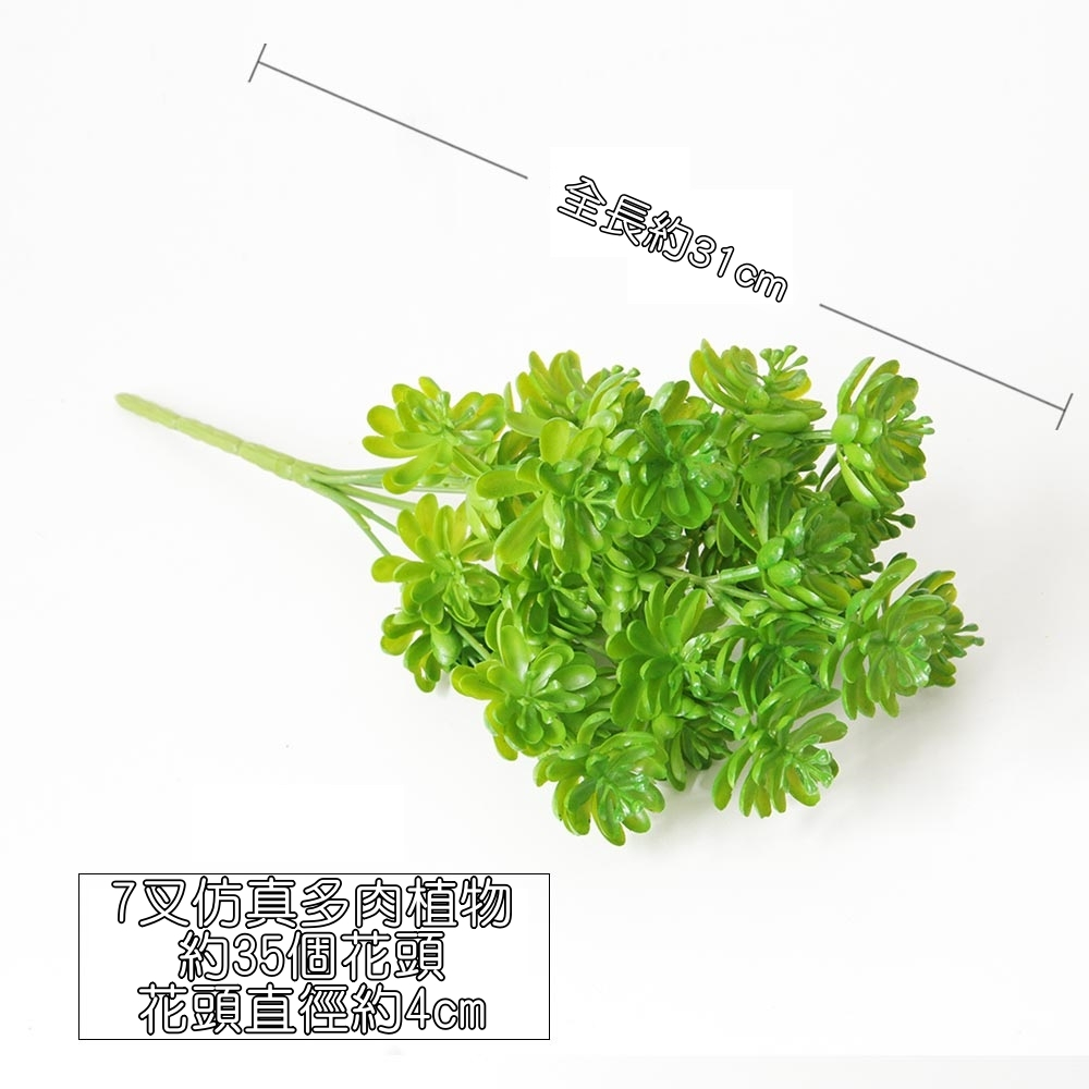 7叉多肉植物(綠)