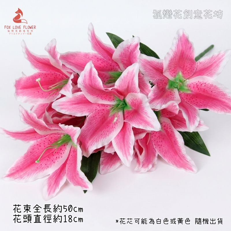 桃紅,價錢為1束的價格