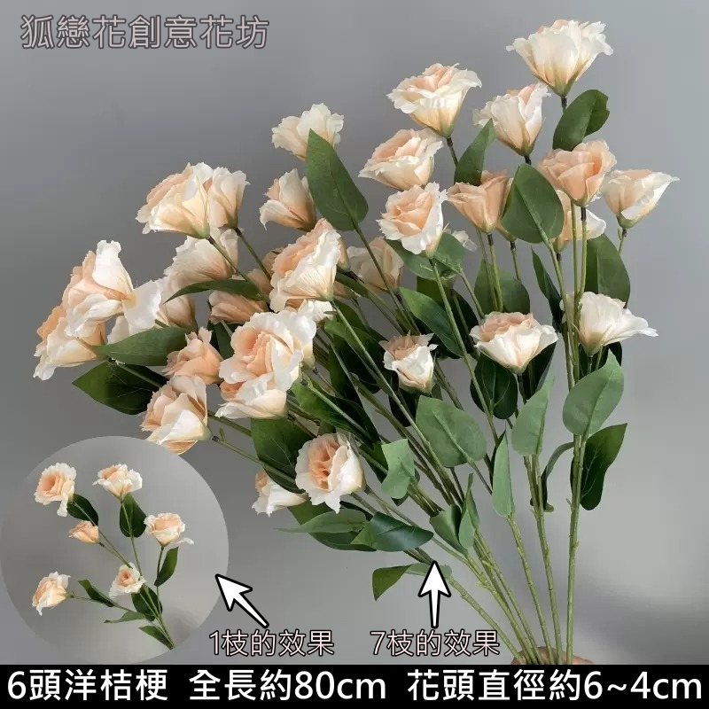 6頭洋桔梗❰香檳❱