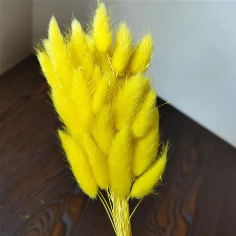 螢光黃,1 支