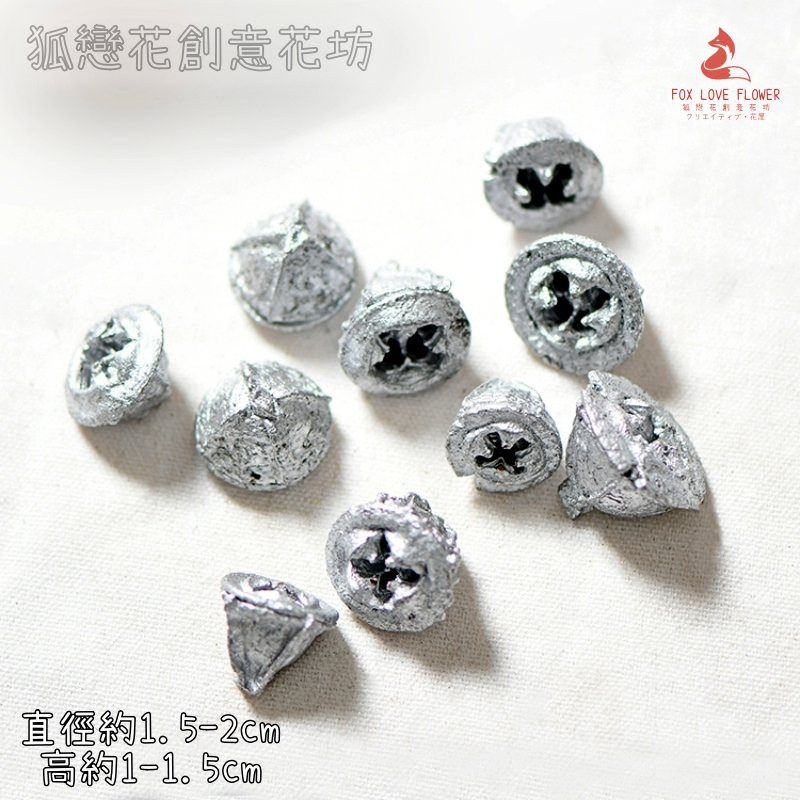 ❰銀色❱大尤加利果(藍桉果)(5顆)