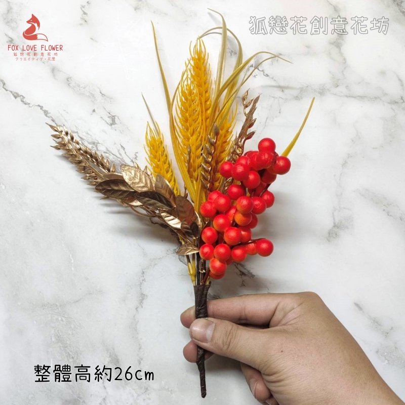 24cm紅果大麥